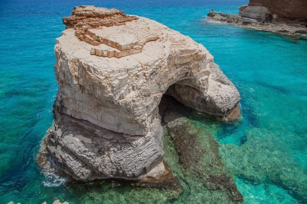 whatsapp image 2026 01 13 at 10.33.10 am (2)